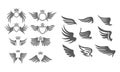 Wing Collection Template Set