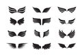 Wing feather set. The winged one is black, the stylized emblem of feathered eagle, dragon in fantasy abstract style, the Royalty Free Stock Photo