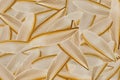Wing of flying termite Royalty Free Stock Photo