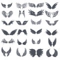 Wing icons set in simple ctyle. Birds and angel wings set collection vector illustration