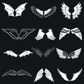 Wing icons set in simple ctyle. Birds and angel wings set collection vector illustration Royalty Free Stock Photo