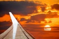 Wing in an orange sky at sunset