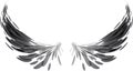 Black wings on white Royalty Free Stock Photo