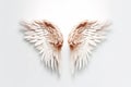 Wing Transparent Isolated Feathers, AI