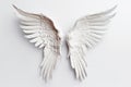 Wing Transparent Isolated Feathers, AI