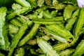The winged bean also known as the Goa bean, asparagus pea, four-angled, four-cornered, Manila, Mauritius, and winged pea, is a Royalty Free Stock Photo