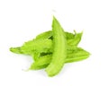 Winged bean on white background.