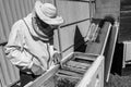 Winged bee slowly flies to beekeeper collect nectar on private apiary