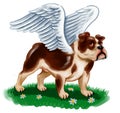 Winged bull dog