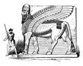 Winged Bull from Nimrud vintage illustration