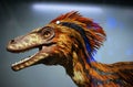 Winged dinosaur bird