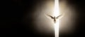 Winged dove with copy space in a ray of light, a representation of the New Testament Holy Spirit