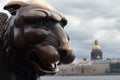 Winged lion on a cloudy spring day at the university embankment. Egyptian griffin on the background of the Neva River and St. Isaa