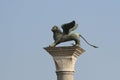 Winged lion of Piazza san Marco, Venice Royalty Free Stock Photo