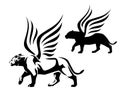 Winged lioness side view black and white vector outline and silhouette Royalty Free Stock Photo