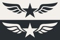 Winged Military Star. Army Chevron. Sign, Icon, Logo and Badge