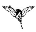 Winged pegasus horse flying forward black and white vector outline