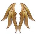 6 winged seraphim wings template