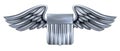 Winged Shield United States Design Royalty Free Stock Photo