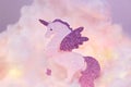 A Winged unicorn or an Alicorn on the light clouds. Royalty Free Stock Photo