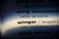Winger Royalty Free Stock Photo