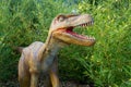 Velociraptor Dinosaur Model at Wingham Wildlife Park, Kent, England.