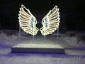 Wings angel alas winter invierno nieve snow