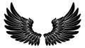 Wings Angel or Eagle Feathers Pair Illustration