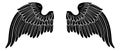 Wings Angel or Eagle Pair Royalty Free Stock Photo