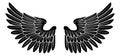 Wings Angel or Eagle Pair Royalty Free Stock Photo