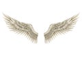 Wings of Angel