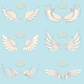 Wings of an angel with a halo, realistic white wings of an angel on a light background. Royalty Free Stock Photo