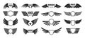 Wings badges. Heraldic shield with flying bird wings, fast frame for biker tag and air force army military aviation Royalty Free Stock Photo
