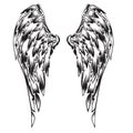 Wings Bird feather Angel animal vintage vector Royalty Free Stock Photo