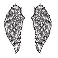 Wings Bird feather Black & White Tattoo Vector Illustration 10 Royalty Free Stock Photo