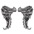 Wings Bird feather Black & White Tattoo Vector Illustration 33 Royalty Free Stock Photo