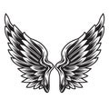 Wings Bird feather Black & White Tattoo Vector Illustration 11 Royalty Free Stock Photo