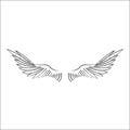 Wings, birds, vector illustration