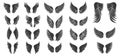 Wings black flat icons set isolated on white. Winged different shapes silhouettes elements for emblems insignias tattoos Royalty Free Stock Photo