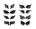 Wings collection. aircraft military symbols birds stylized wings vector minimalistic design fly silhouettes of feathers Royalty Free Stock Photo