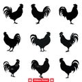 Wings and Feathers Detailed Chicken Vector Art Compilation Royalty Free Stock Photo