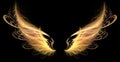 Wings (fire, demon)