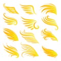 Wings fire icon set