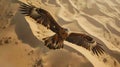 Wings of Freedom The Arabian Eagle Soaring through the Boundless Sky Royalty Free Stock Photo