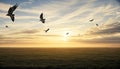 On The Wings Of Freedom - Birds Flying And Broken Chains Royalty Free Stock Photo