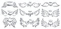 Wings hand drawn lettering. Doodle elegant angel wings phrases, sketched flight feather, winged angel wings and Royalty Free Stock Photo