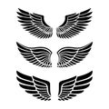 Wings for heraldry, tattoos, logos.