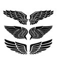 Wings for heraldry, tattoos, logos.