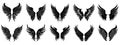 Wings icon. Set of black icons of wings on white background Royalty Free Stock Photo