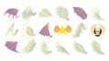 Wings icon set, cartoon style Royalty Free Stock Photo